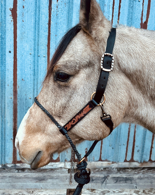 Lariat Nose Halter: Tooled Leather