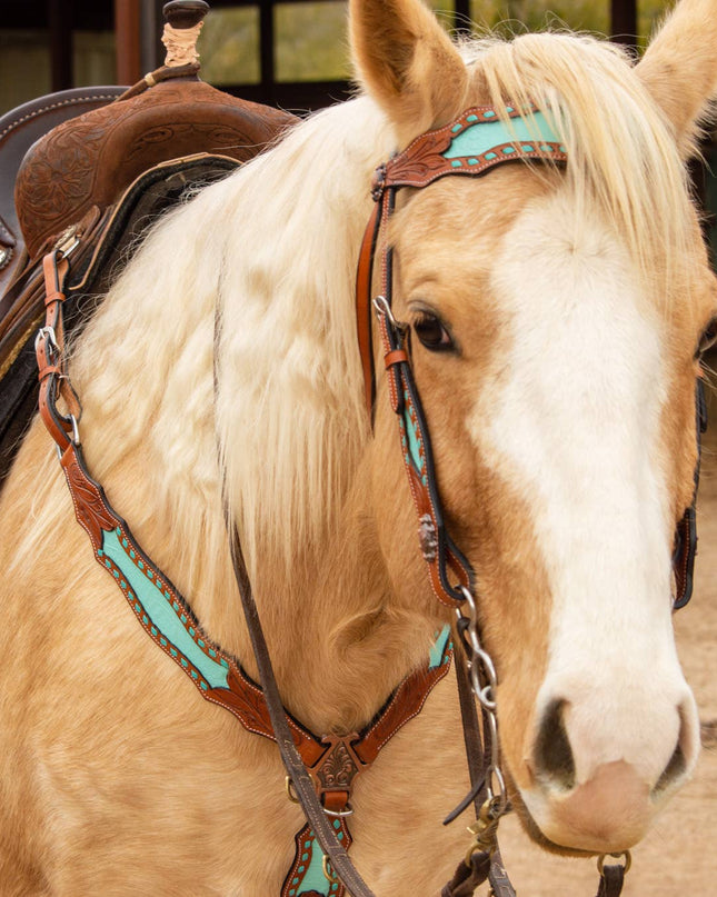 Bonanza Headstall and Breast Collar Set