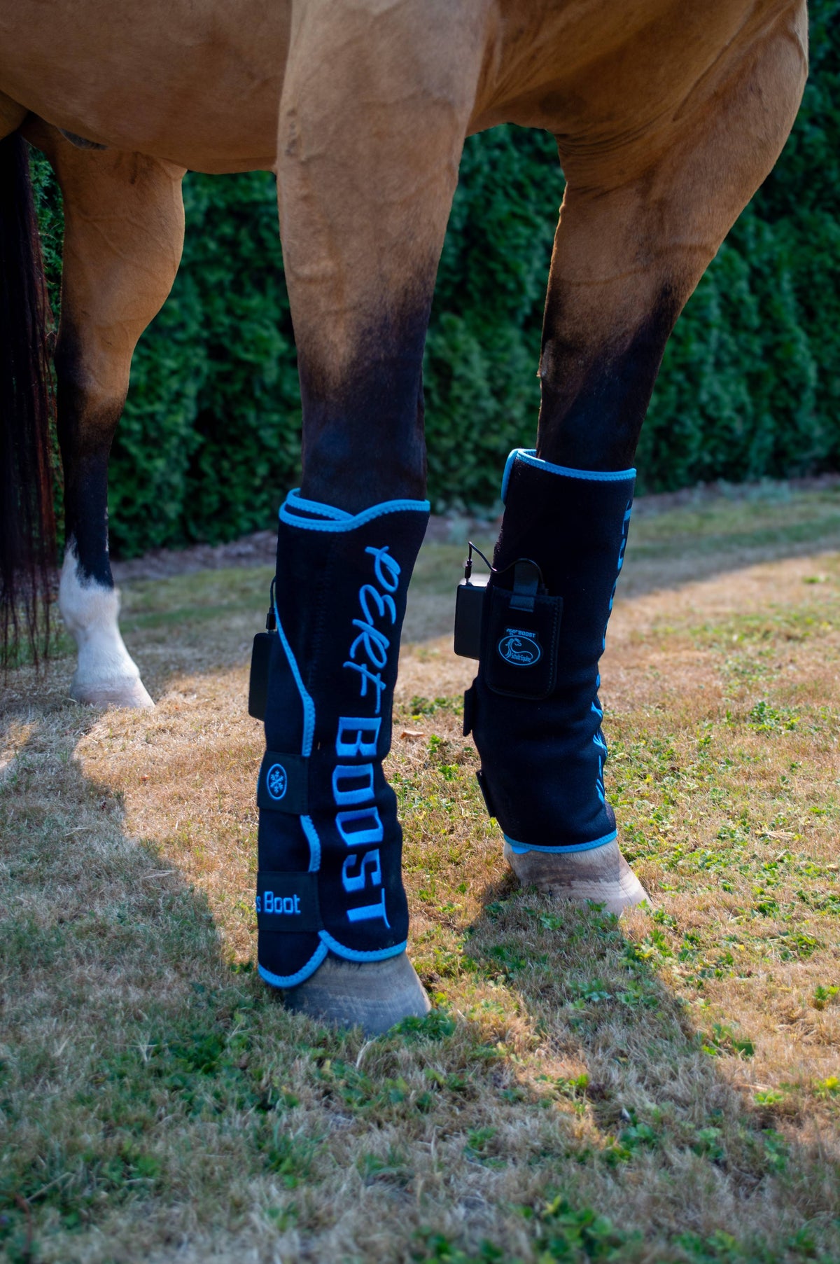 Perf Boost Cold Pressed Ice Boots