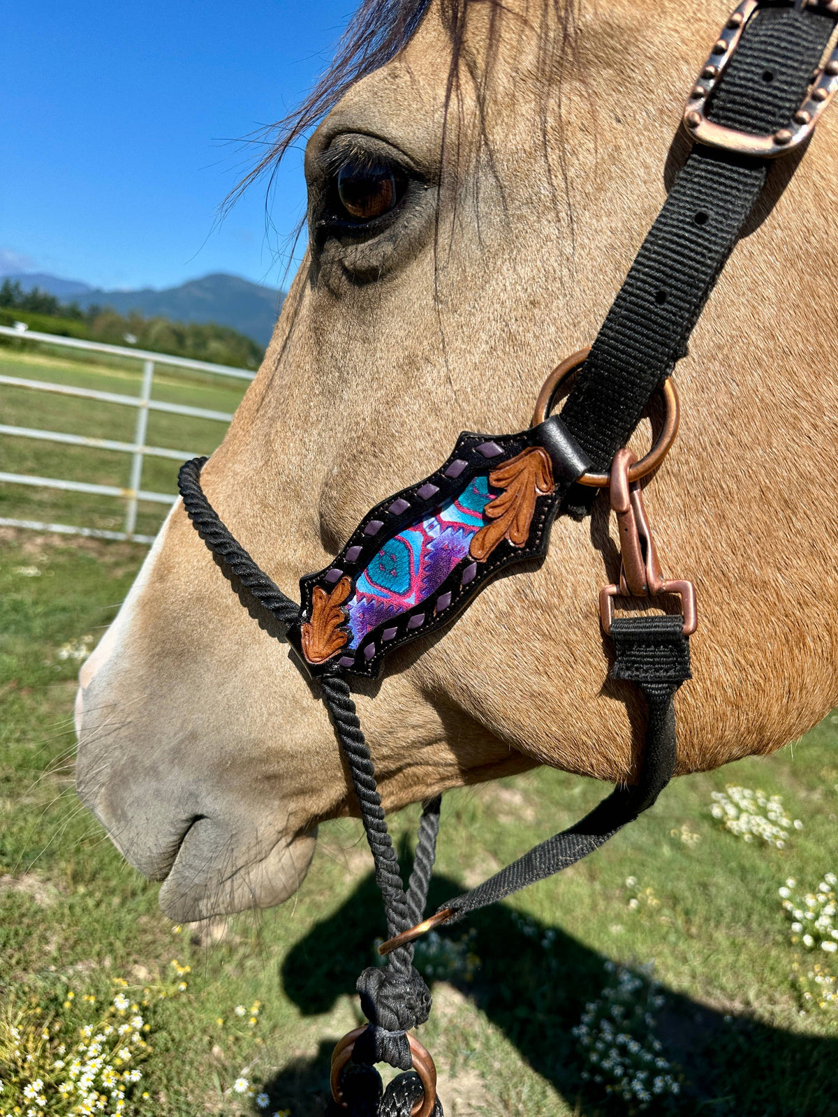 Lariat Nose Halter: Rio