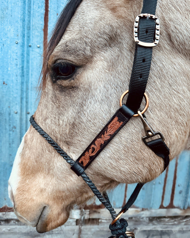 Lariat Nose Halter: Tooled Leather