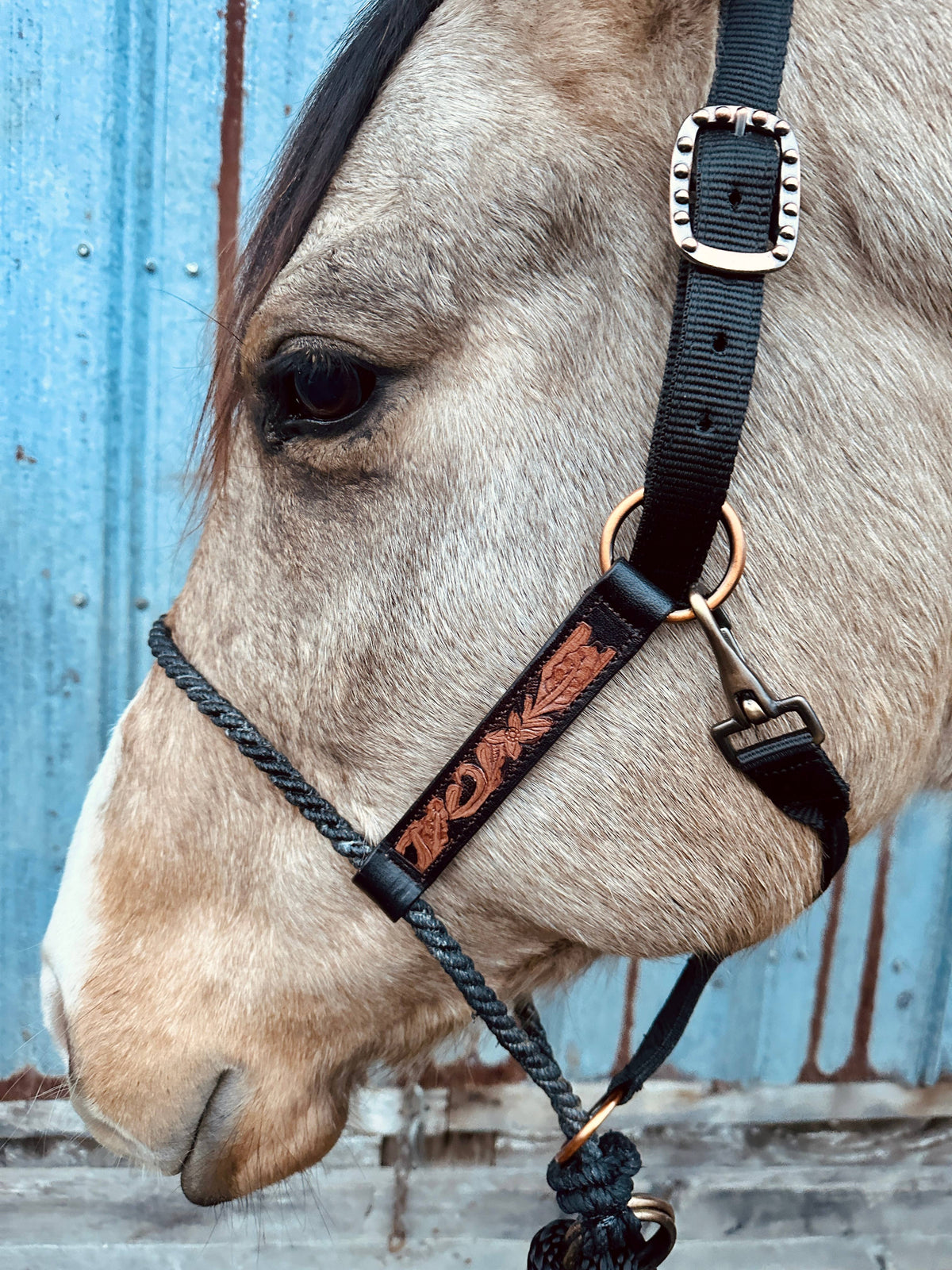 Lariat Nose Halter: Tooled Leather