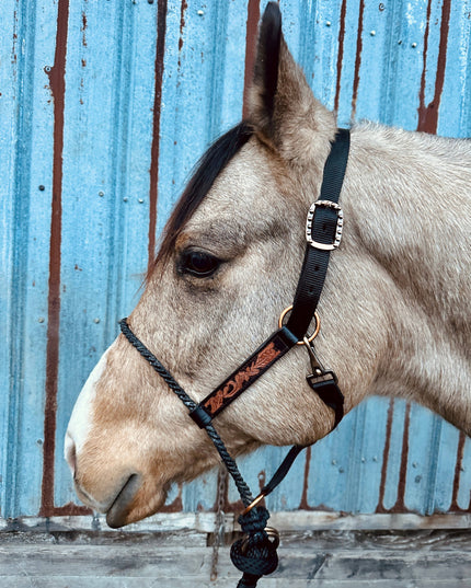 Lariat Nose Halter: Tooled Leather