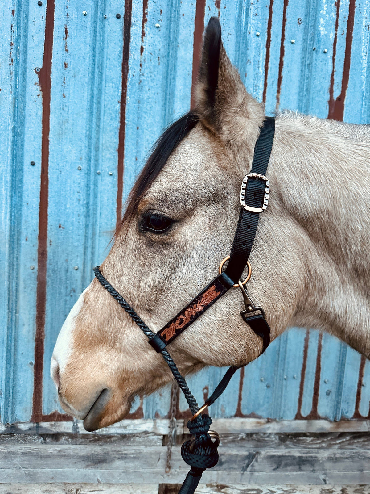 Lariat Nose Halter: Tooled Leather