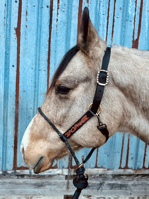 Halter – Schulz Equine Lariat Nose, Tooled Leather with Lead | New