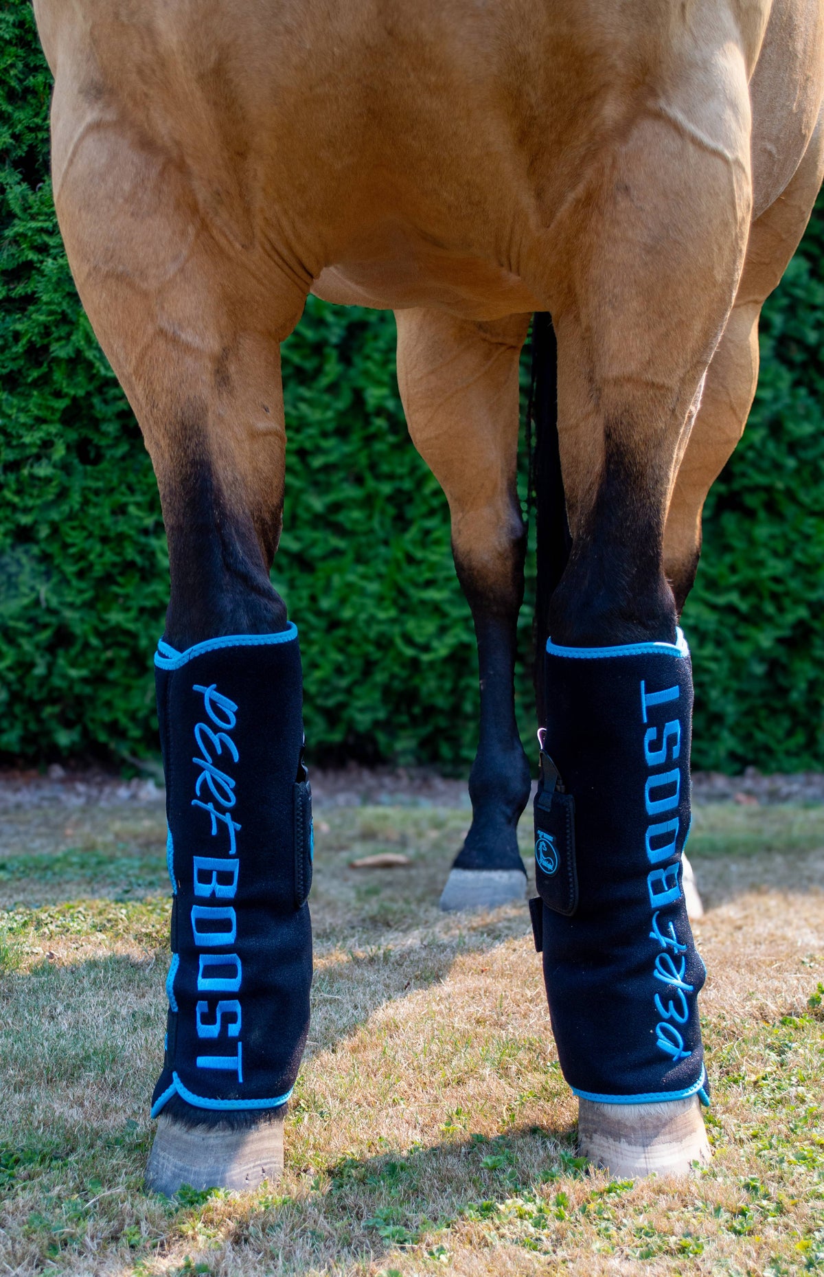 Perf Boost Cold Pressed Ice Boots