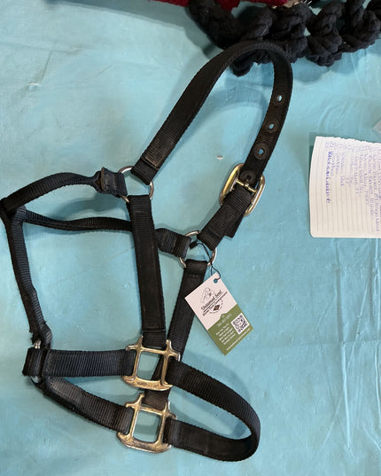 Halter Nylon Black