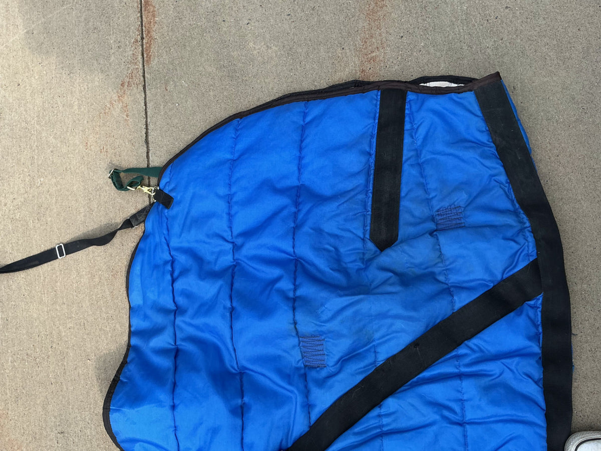 Winter light Blanket 79" Blue