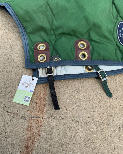 Winter Blanket 78" Green Big D