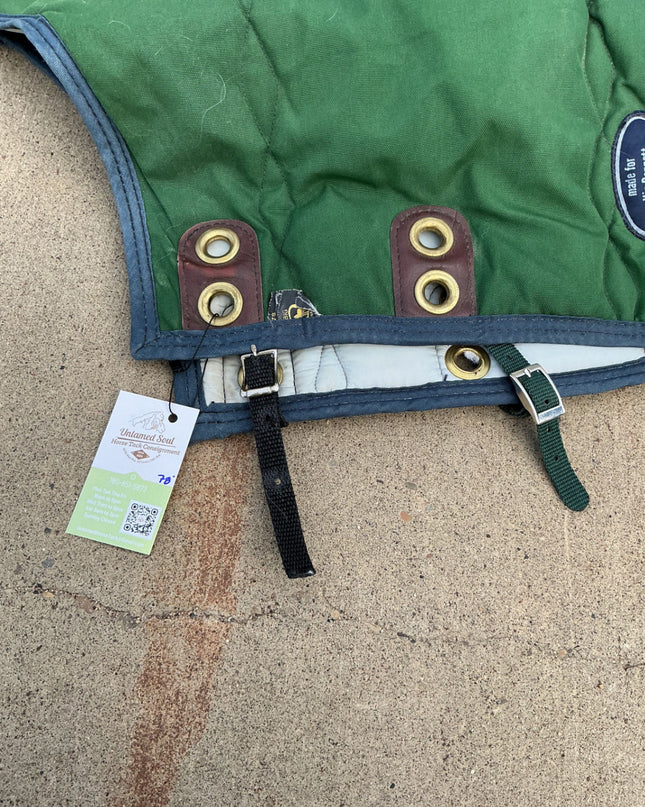 Winter Blanket 78" Green Big D