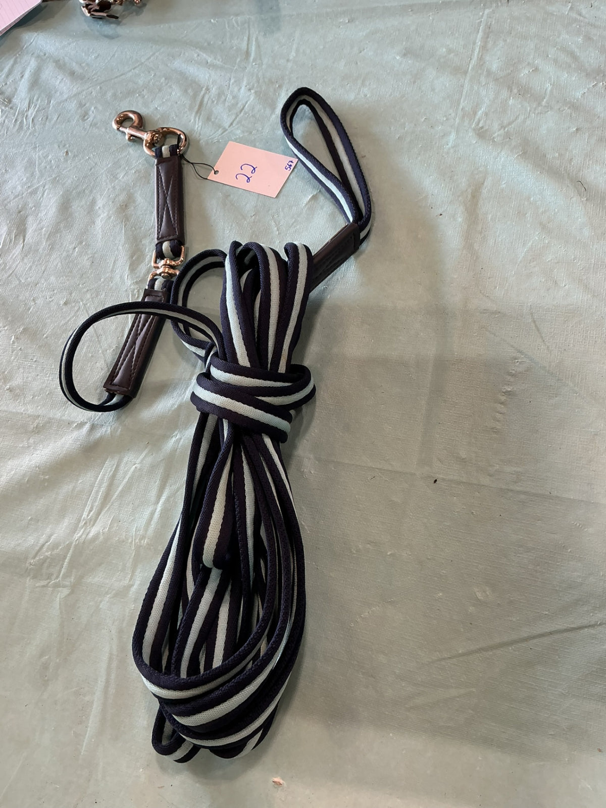 Lunge Line Blue