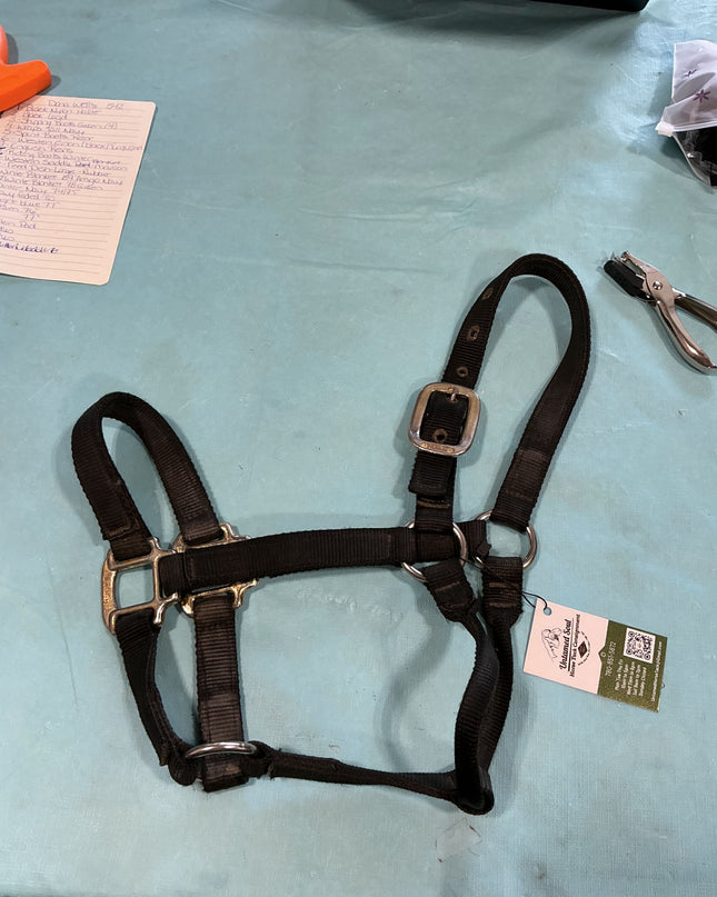 Halter Nylon Black