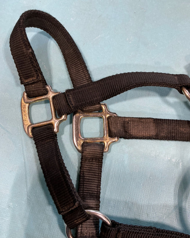 Halter Nylon Black