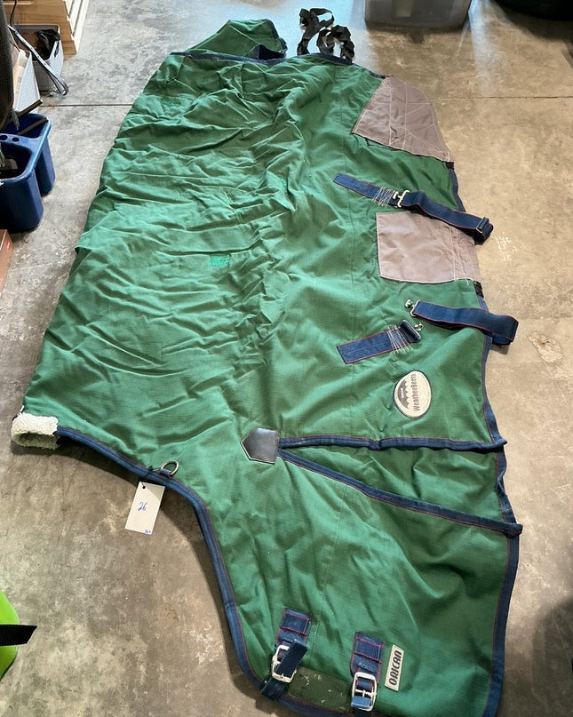 Winter Light WeatherBeeta Green 72"