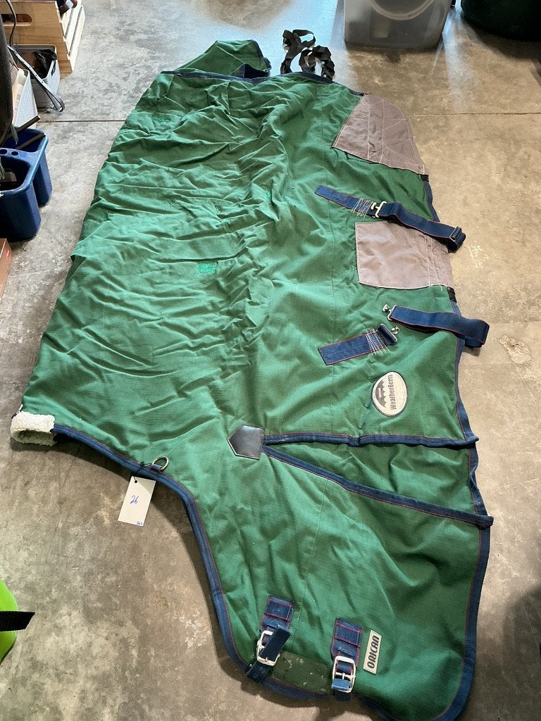Winter Light WeatherBeeta Green 72"