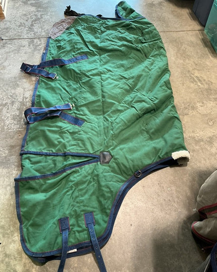 Winter Light WeatherBeeta Green 72"