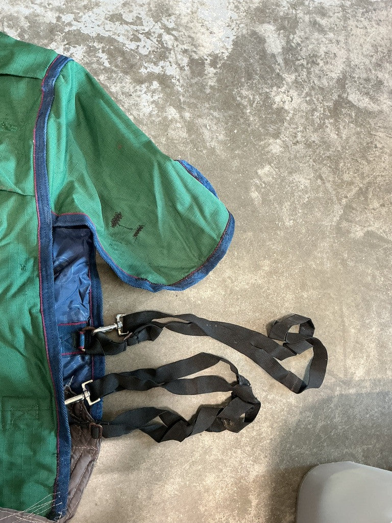 Winter Light WeatherBeeta Green 72"
