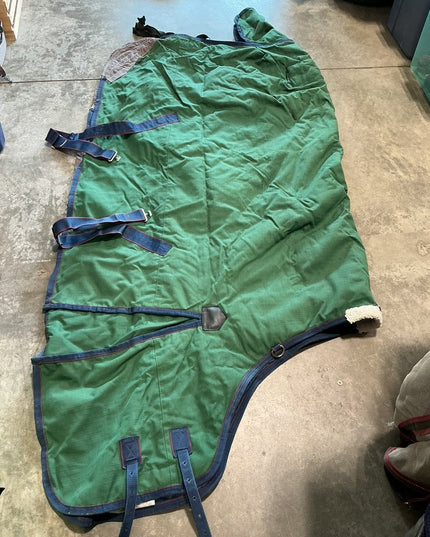 Winter Light WeatherBeeta Green 72"