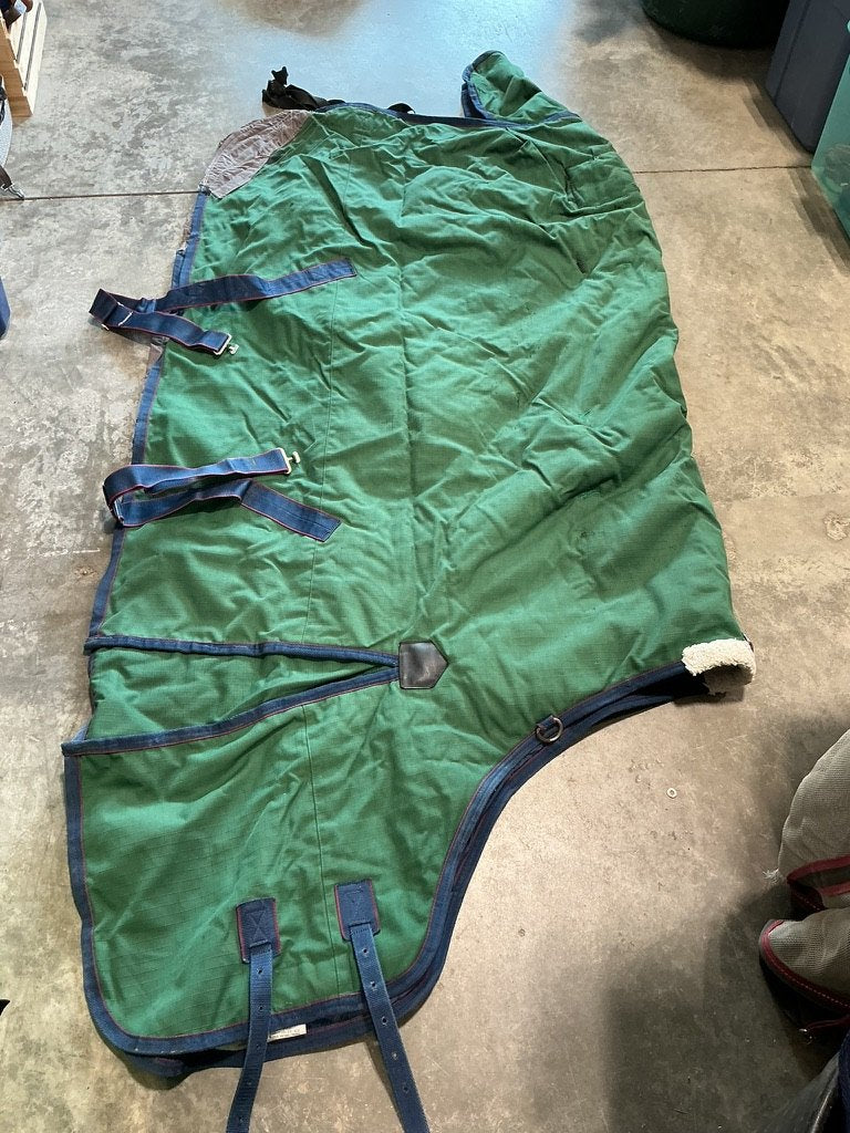 Winter Light WeatherBeeta Green 72"