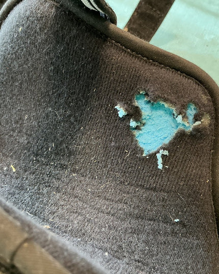 Boots fetlock equifit *Hole*See Pictures