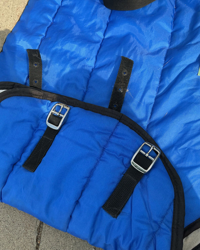 Winter light Blanket 79" Blue
