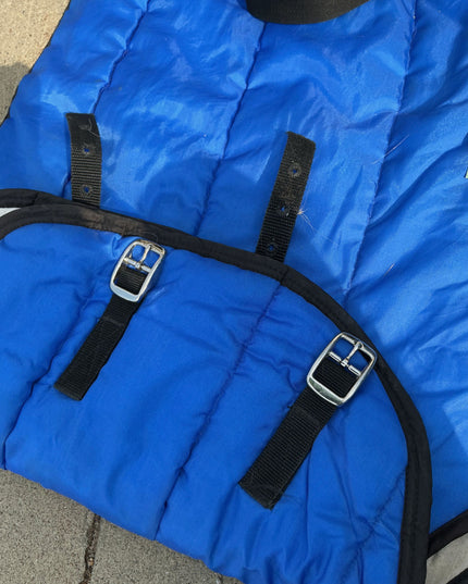 Winter light Blanket 79" Blue
