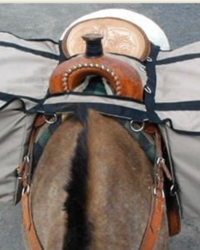 Western Saddle Packing Bags 