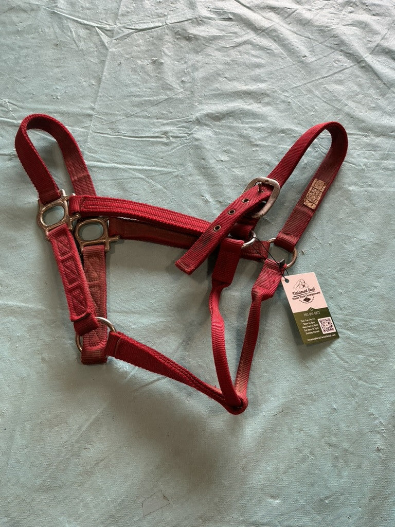 Nylon Halter Red