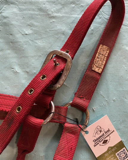 Nylon Halter Red
