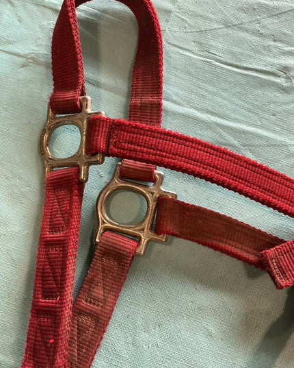 Nylon Halter Red