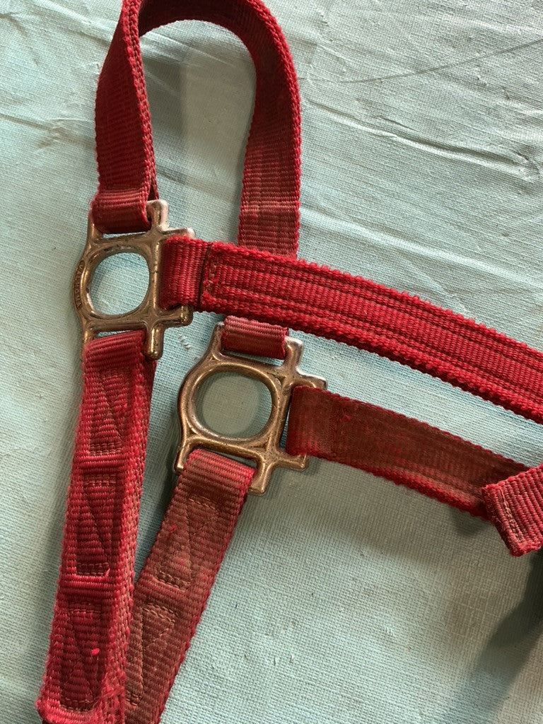 Nylon Halter Red