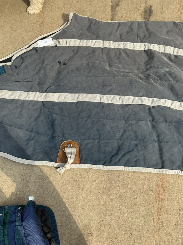 Winter Liner Blanket Faded 80" *repairs*