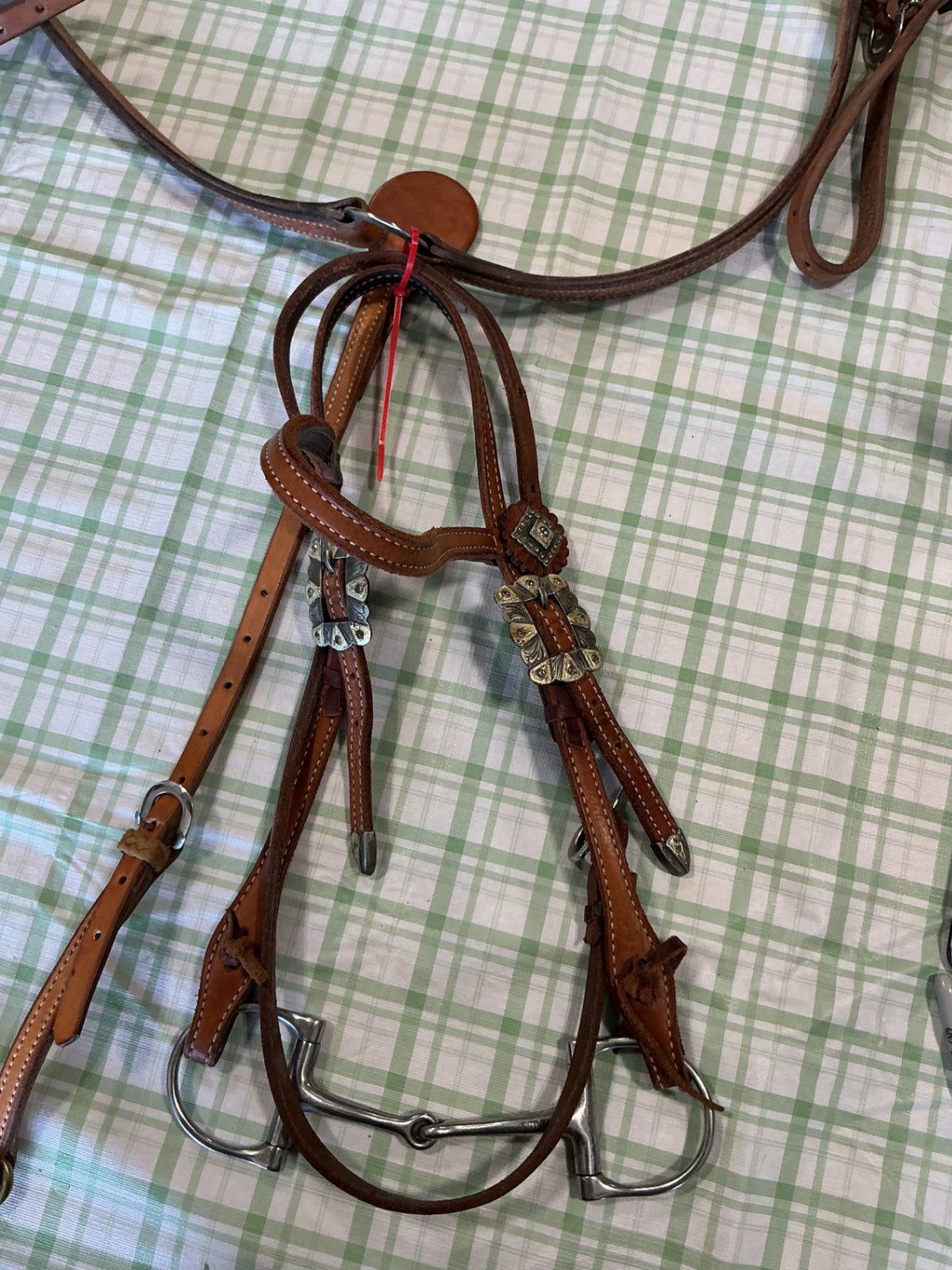breast collar and bridle set 