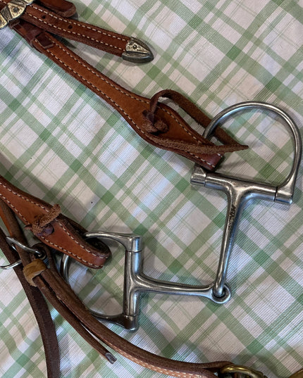 breast collar and bridle set 