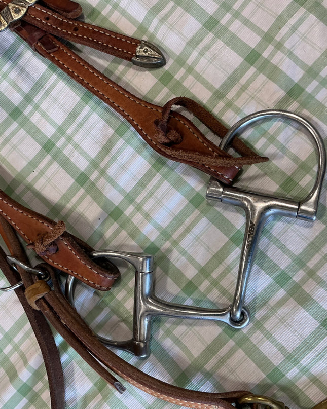 breast collar and bridle set 