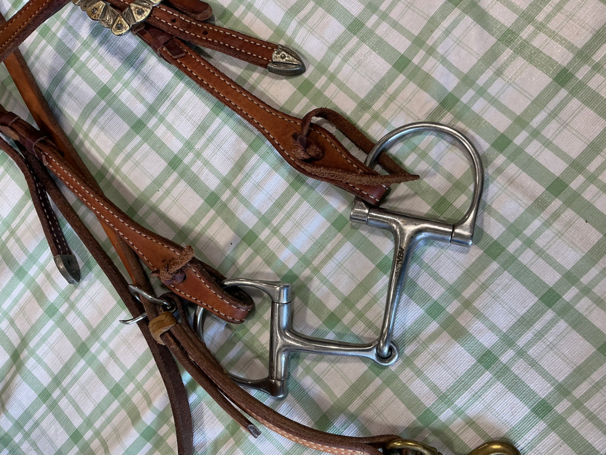 breast collar and bridle set 