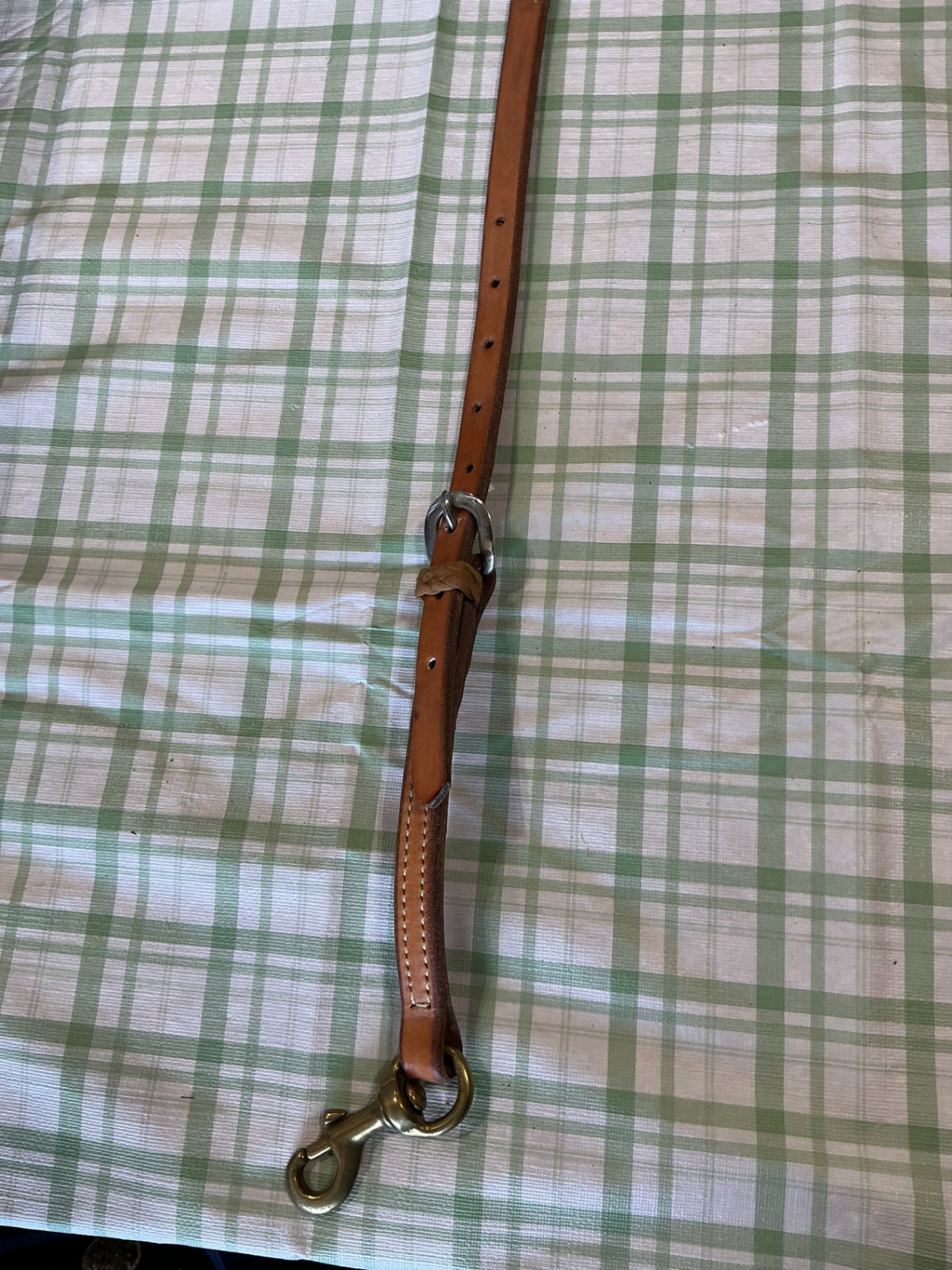 breast collar and bridle set 