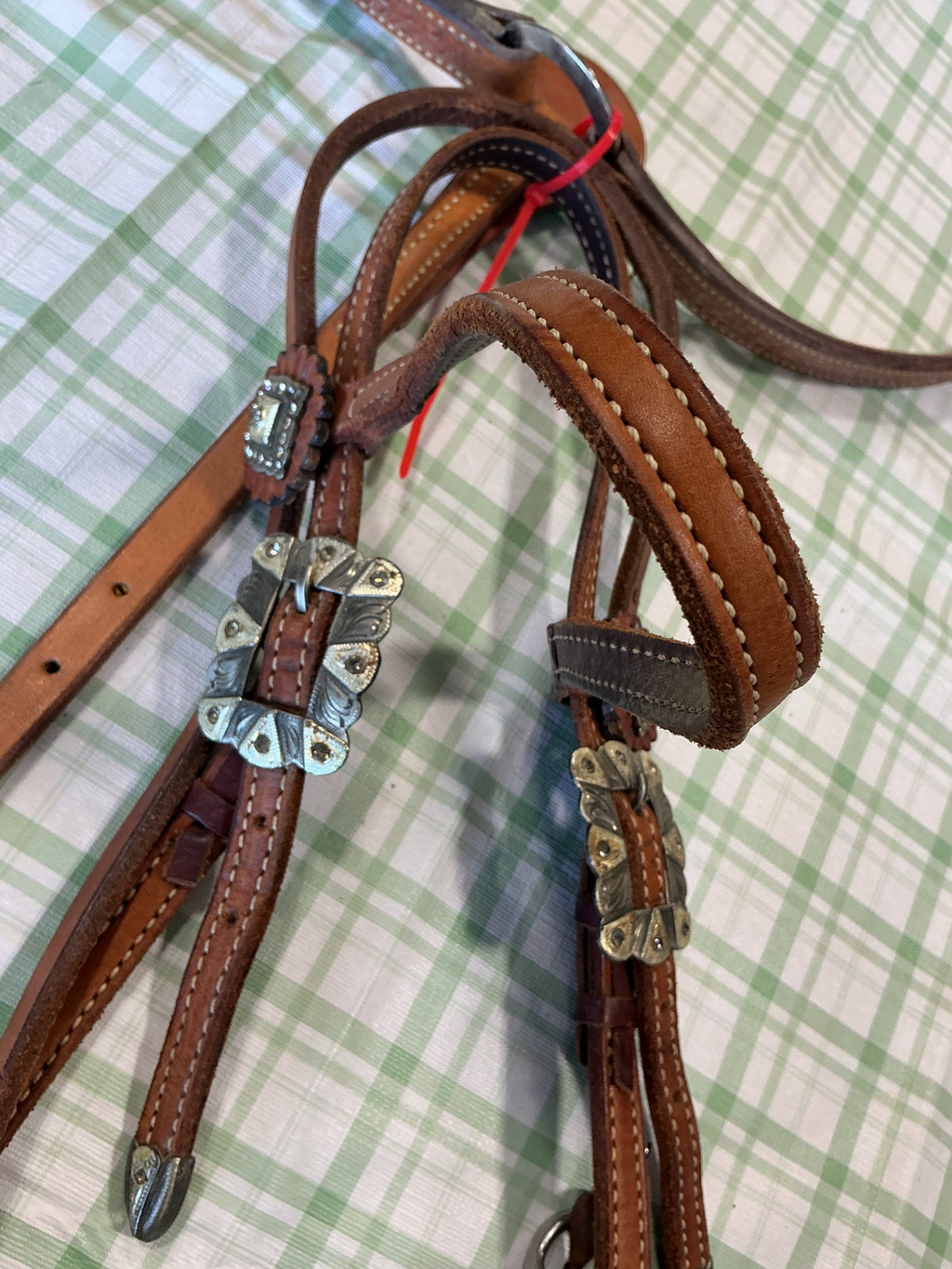 breast collar and bridle set 