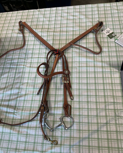 breast collar and bridle set 