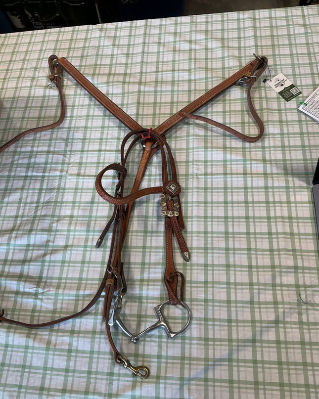 breast collar and bridle set 