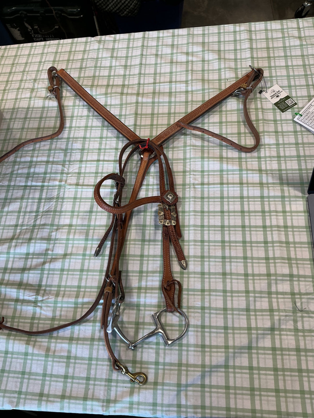 breast collar and bridle set 