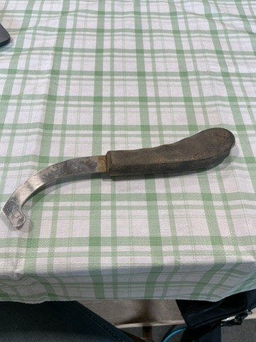 bot fly knife 
