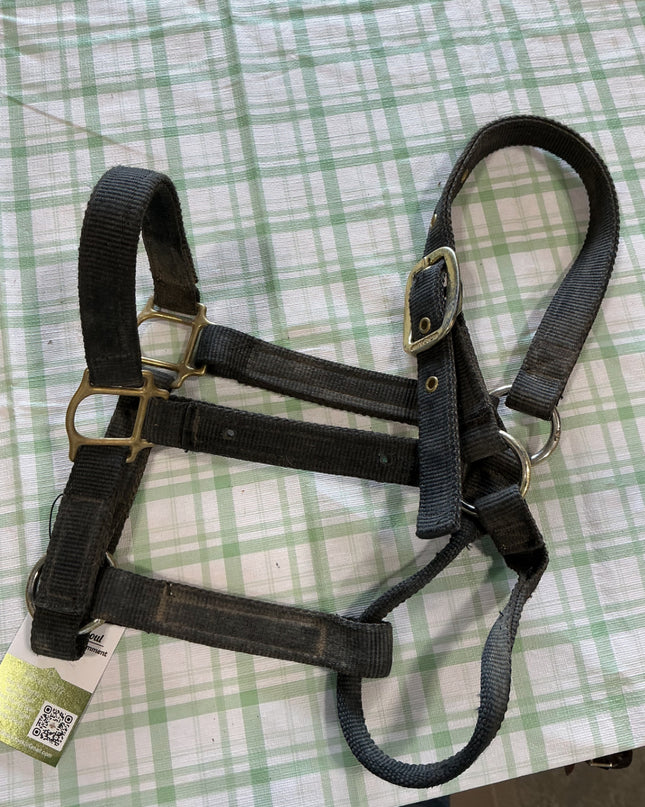 halyer nylon black 