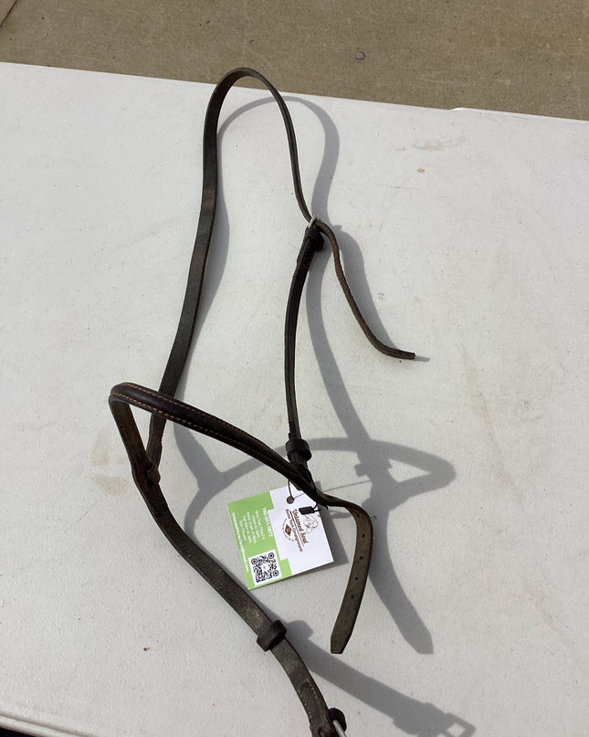 showing halter leather 