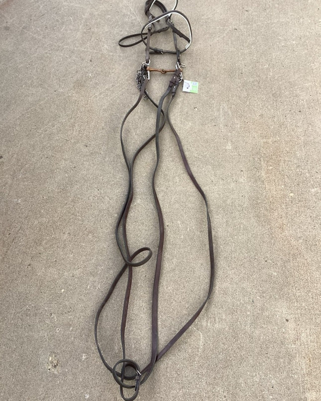 english bridle with bit 