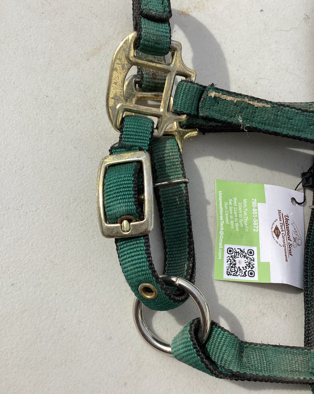 halter nylon dark green yearling pony size 