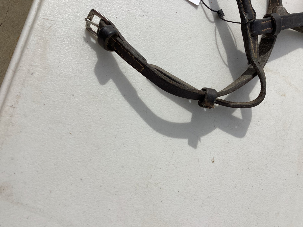showing halter leather 