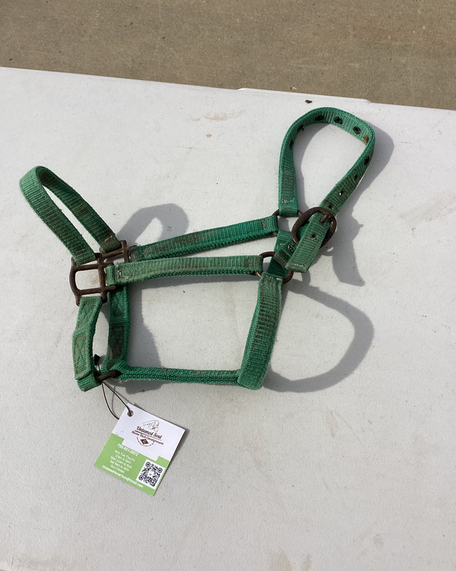 halter nylon green yealing pony 