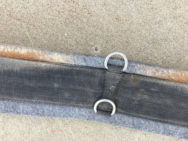 western cinch 35.5 