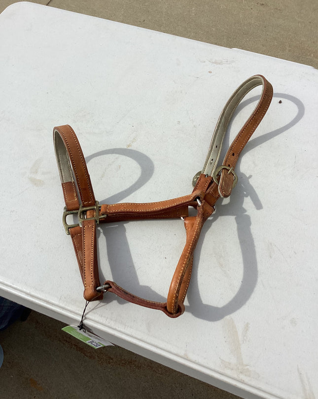halter leather light brown 